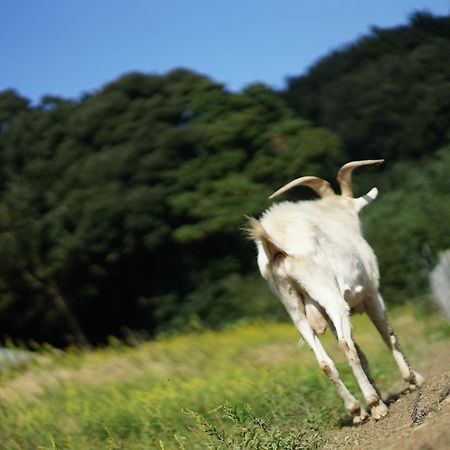 舞鶴ふるるファームコテージ Maizuru Εξωτερικό φωτογραφία