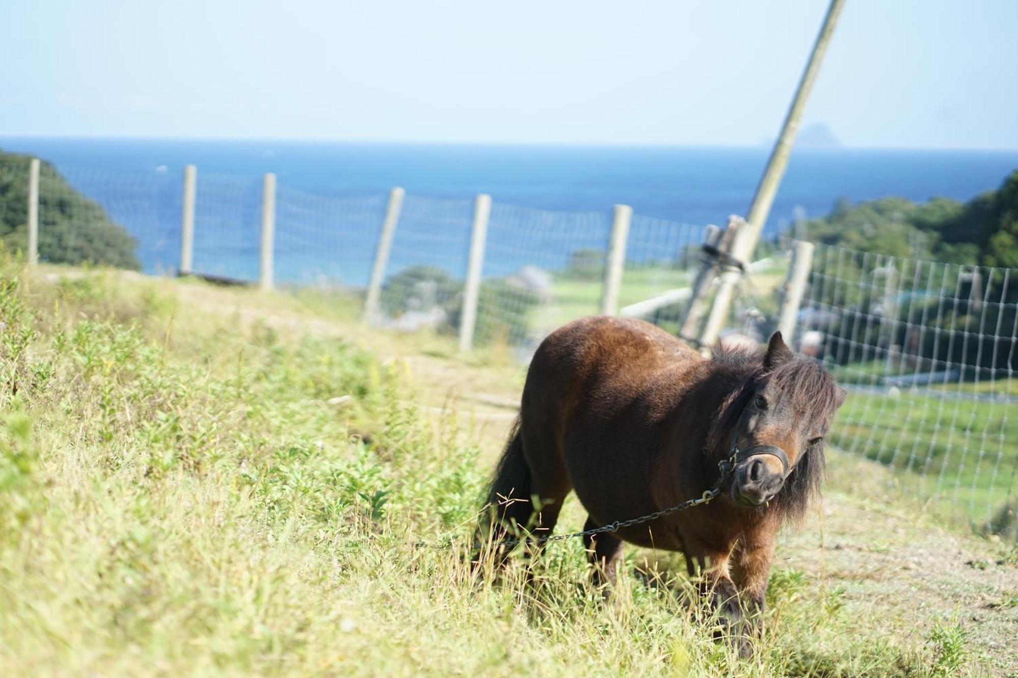 舞鶴ふるるファームコテージ Maizuru Εξωτερικό φωτογραφία
